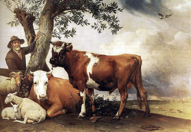 The bull., paulus potter